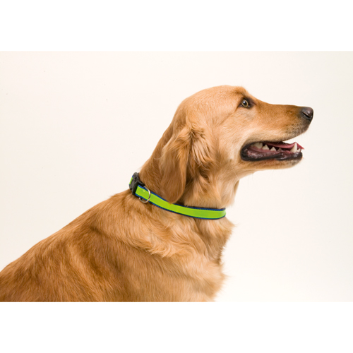 PetBelt reflecterende halsband bedrukken met logo