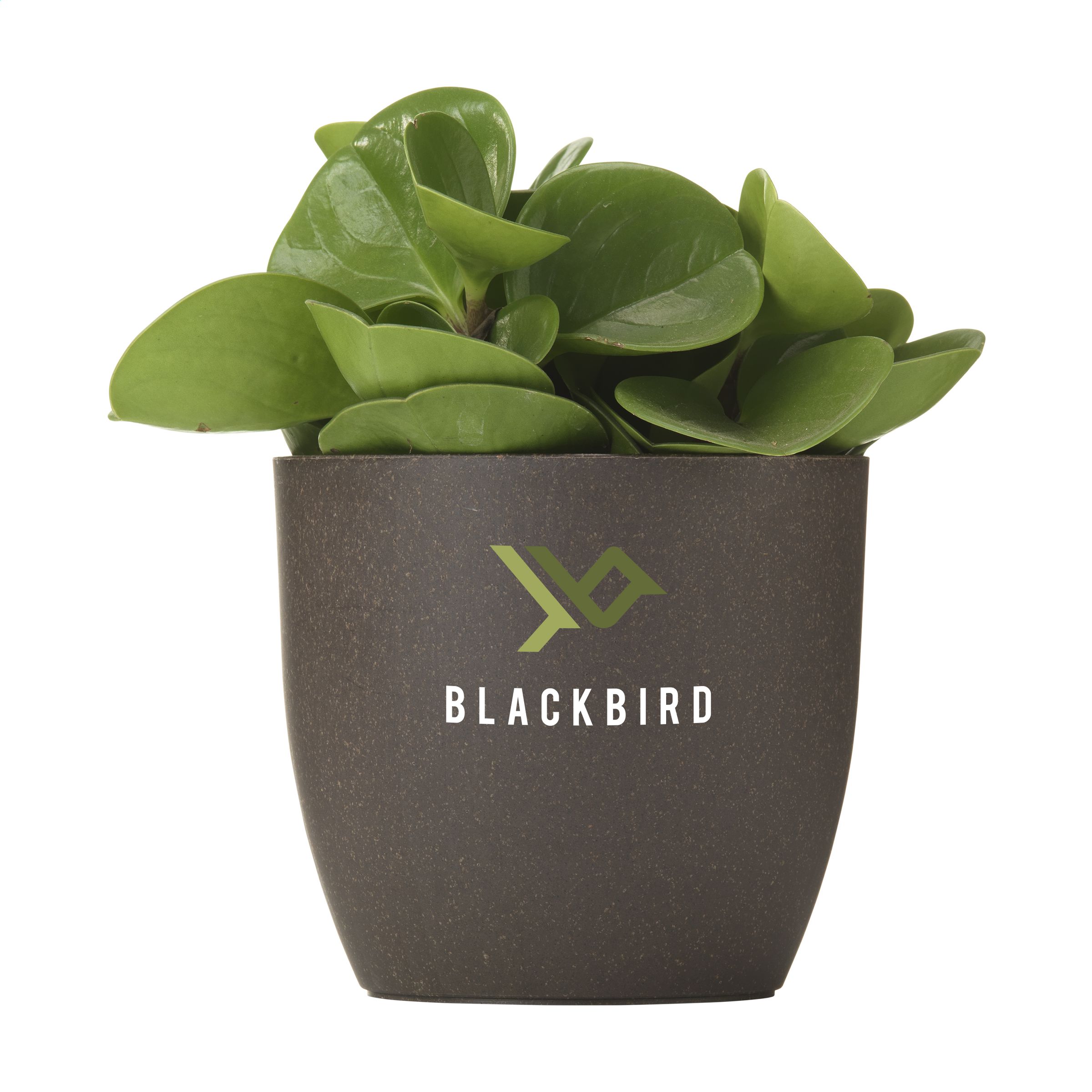 Nosh Coffee Flowerpot bloempot bedrukken met logo