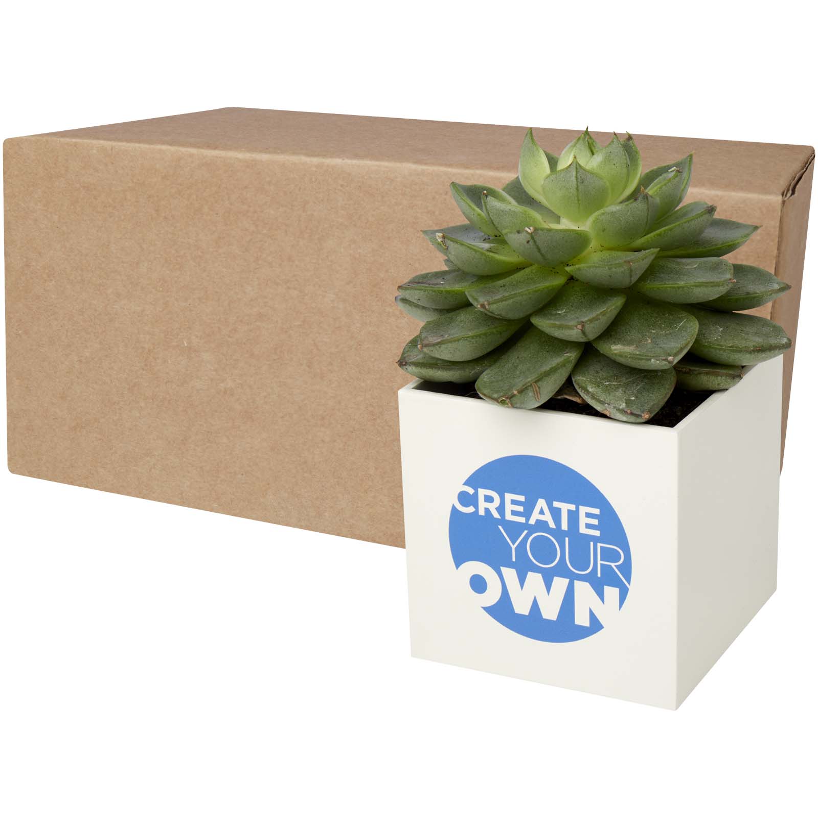 Hey Pots aluminium bloempot, cactus bedrukken met logo