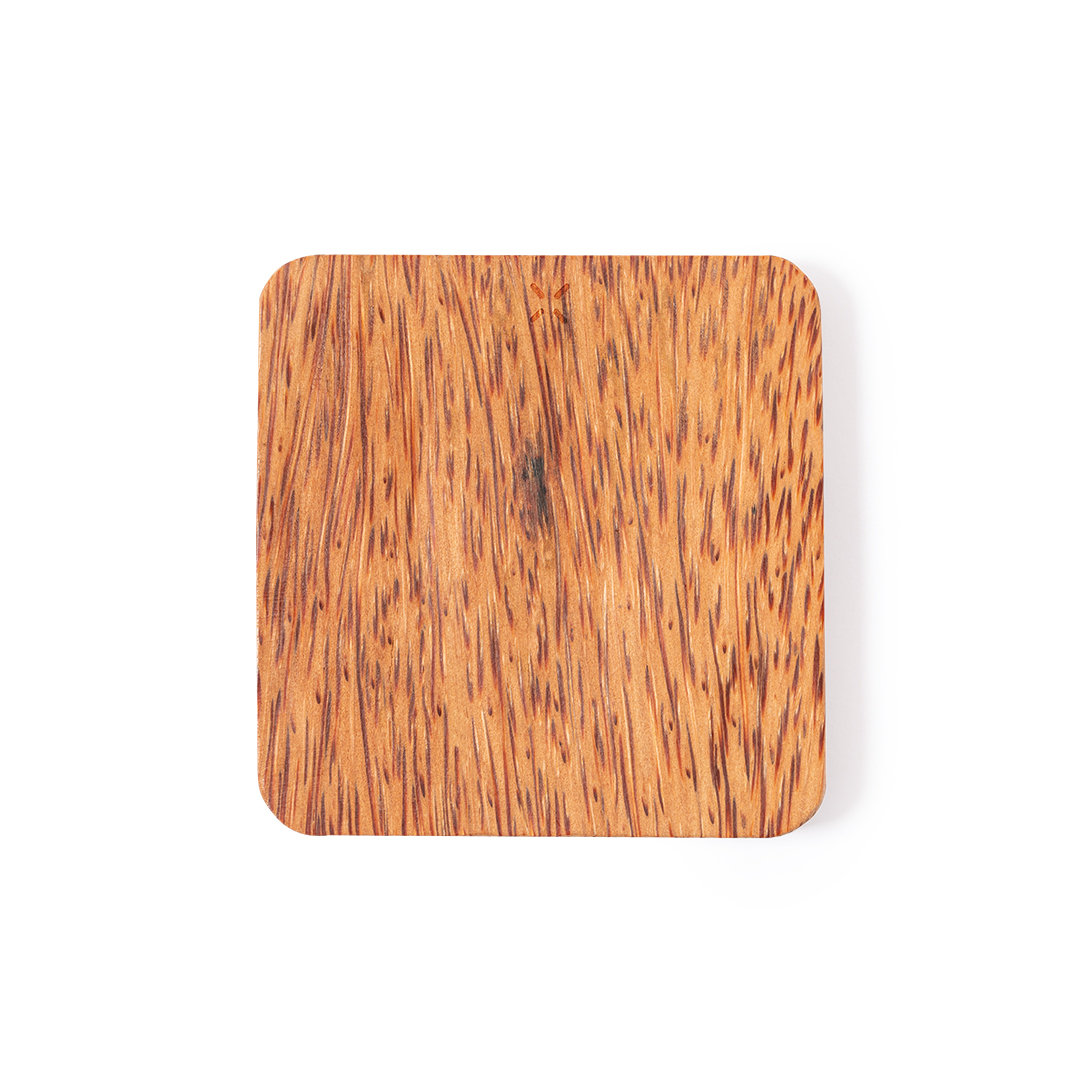 Oplader Dominus bedrukken met logo