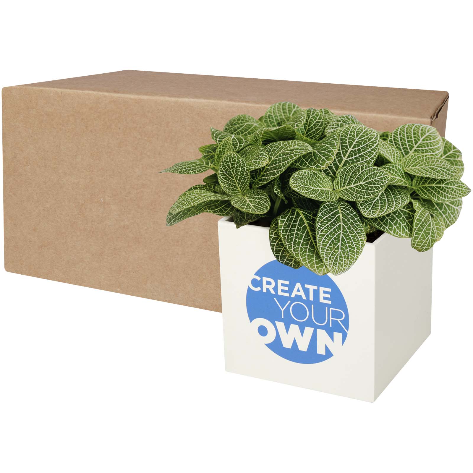 Hey Pots aluminium bloempot, vetplant bedrukken met logo