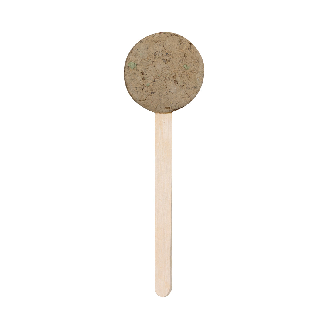 Zaad-Lolly Zaden Ebeldy bedrukken met logo